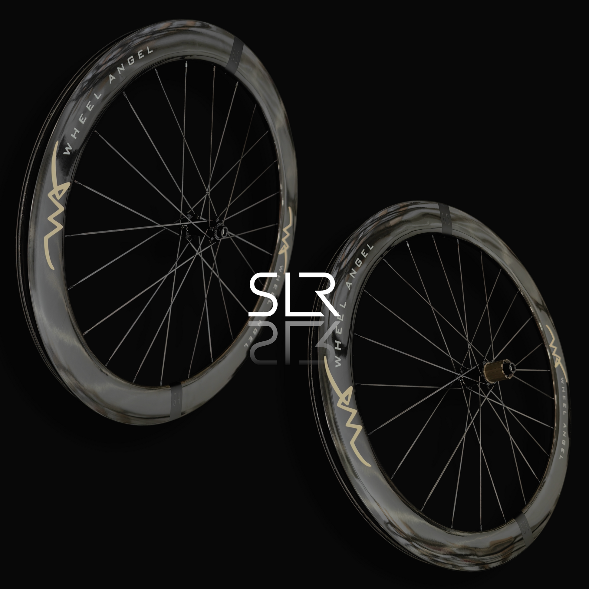 SLR 54mm Carbon Wheel Disc